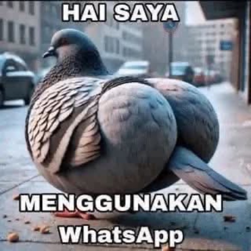 QexD