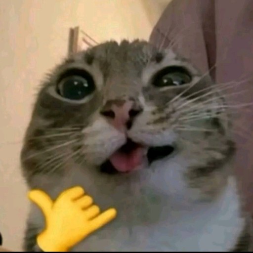 SiPrapto
